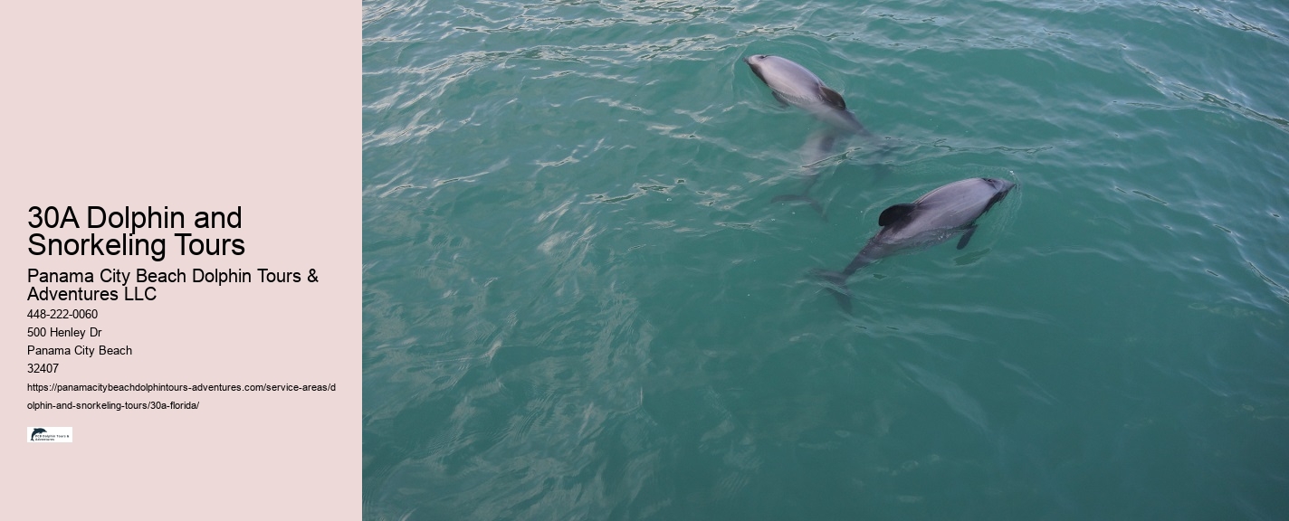 Dolphin Tours Panama City Beach Prices