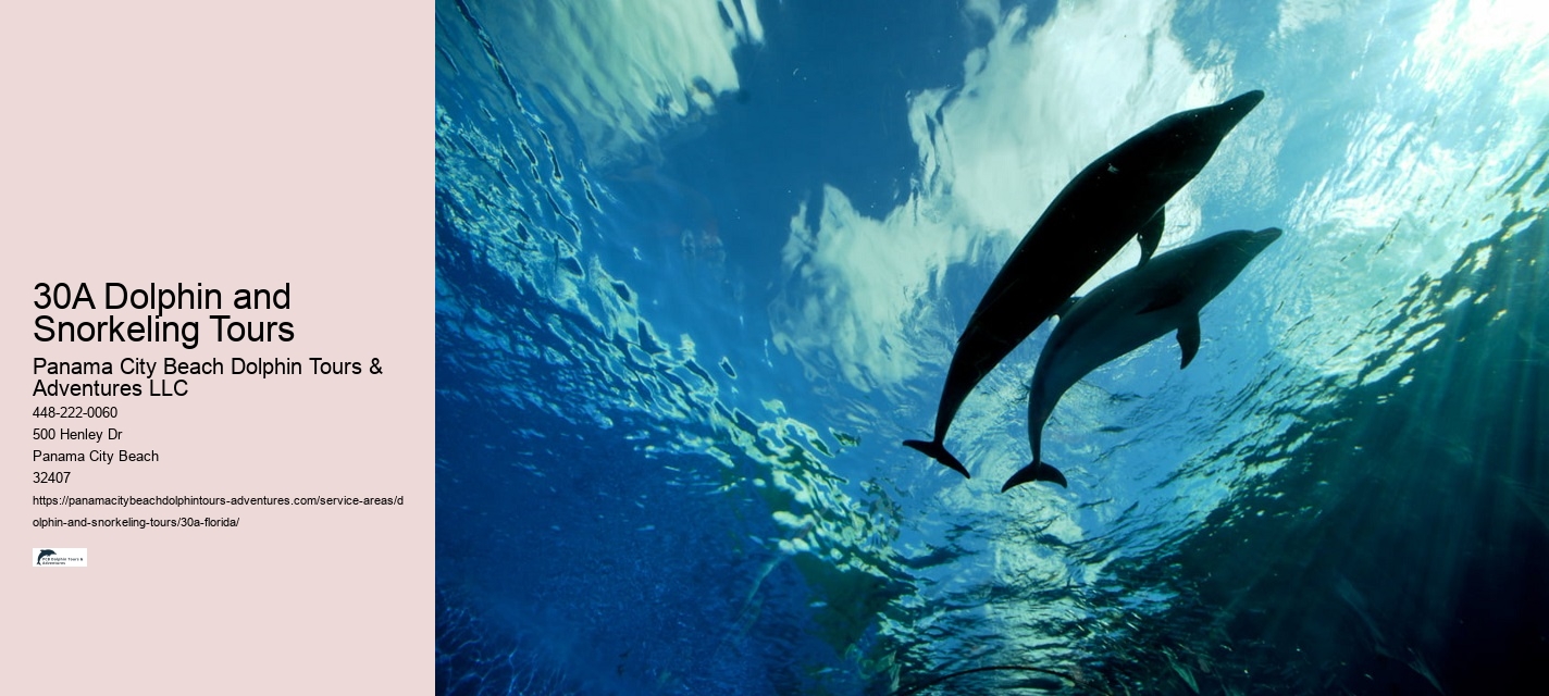 Snorkel Tours