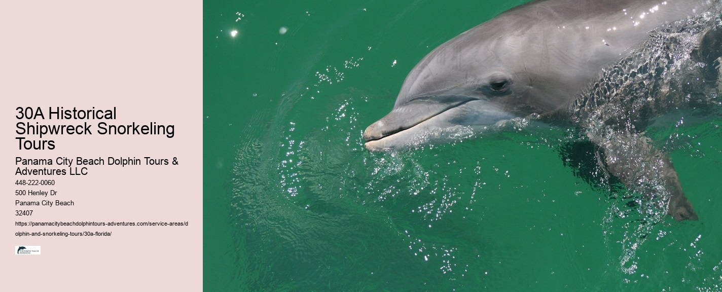 Panama City Beach Sea Life Tours