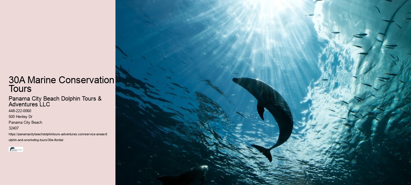 30A Boat Tours with Snorkeling