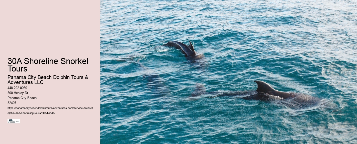 Beginner Snorkeling Tours Panama City