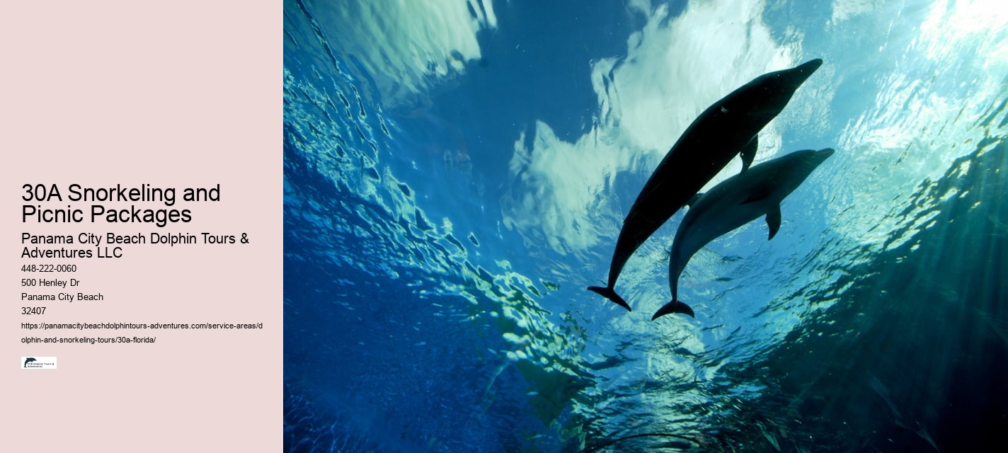 30A Snorkeling and Picnic Packages