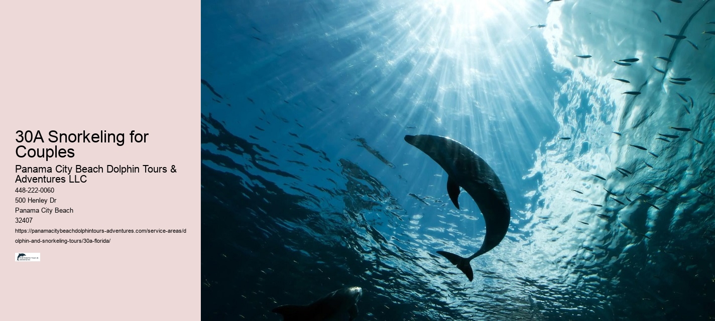 Boat Tour Dolphin