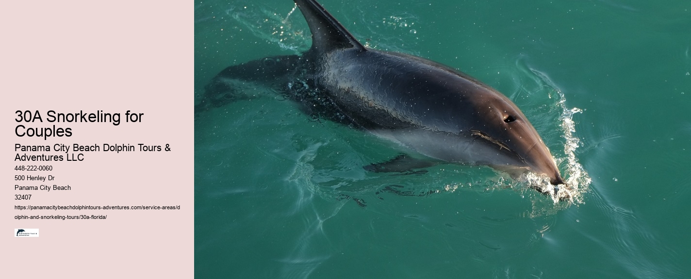 Family Dolphin Tours Panama City
