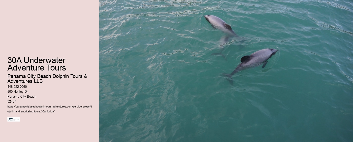 How long do snorkeling tours last in the 30A area