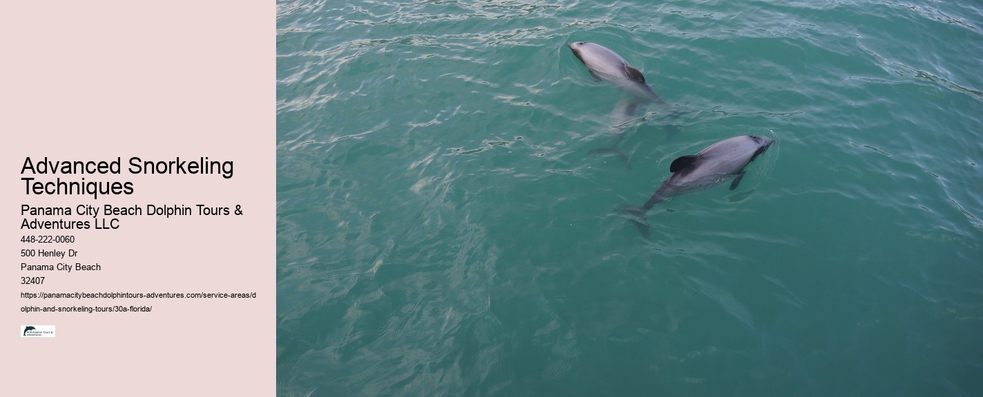 30A Underwater Adventure Tours