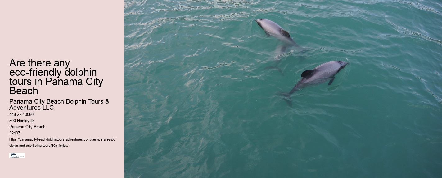 Dolphin Tour Boats