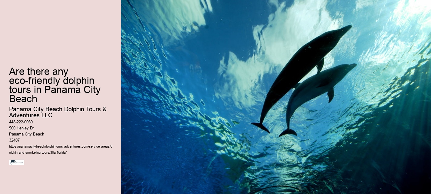 The Dolphin Exploration Tour