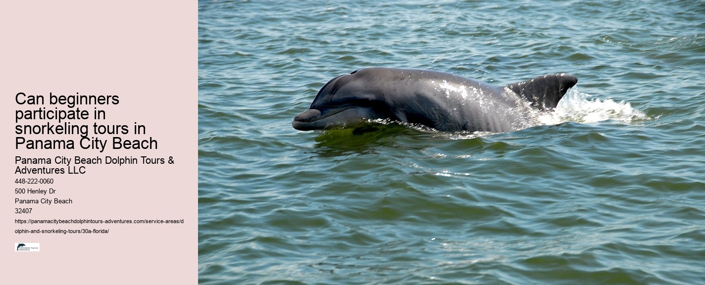 Dolphin Jet Boat Tour