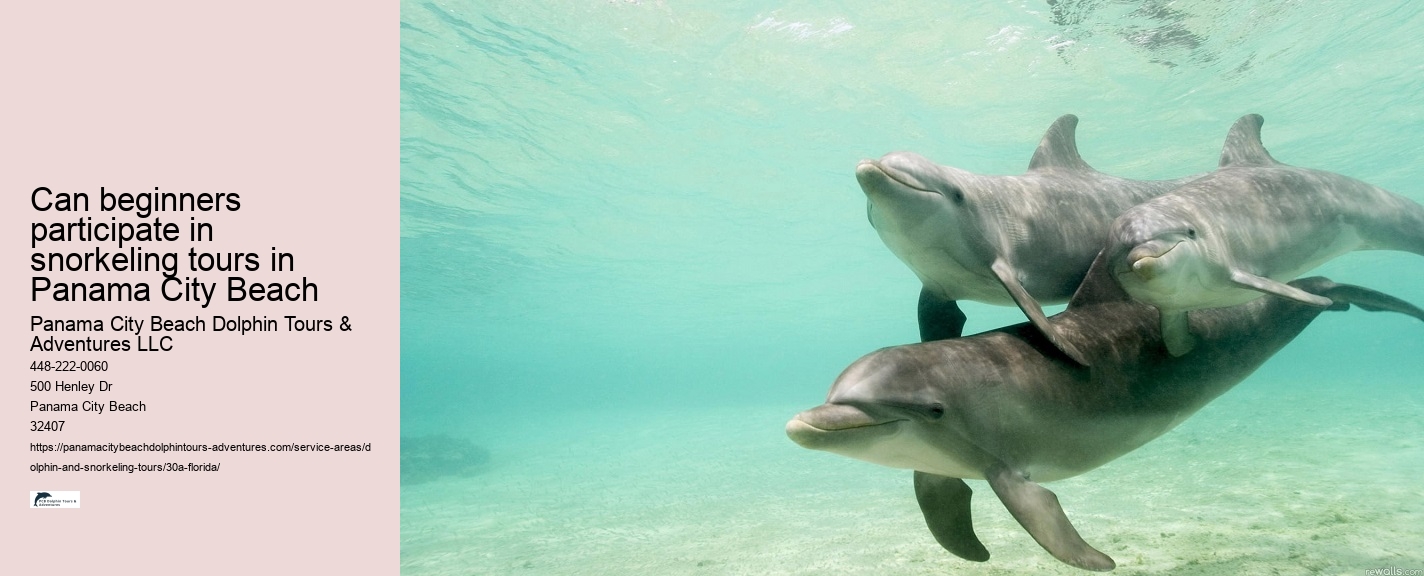 Underwater Dolphin Sounds