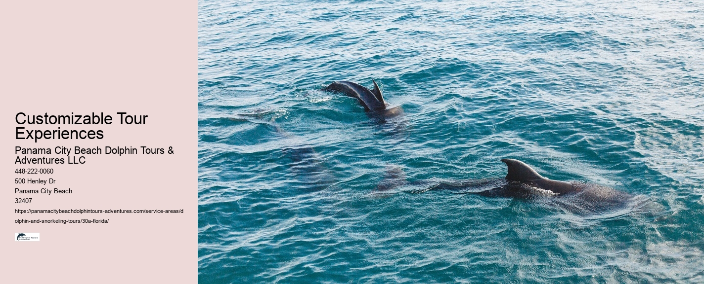 Watch Dolphin