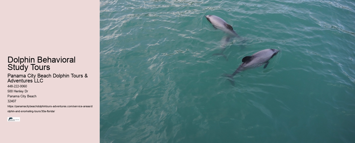 Where To Watch A Dolphin Tale