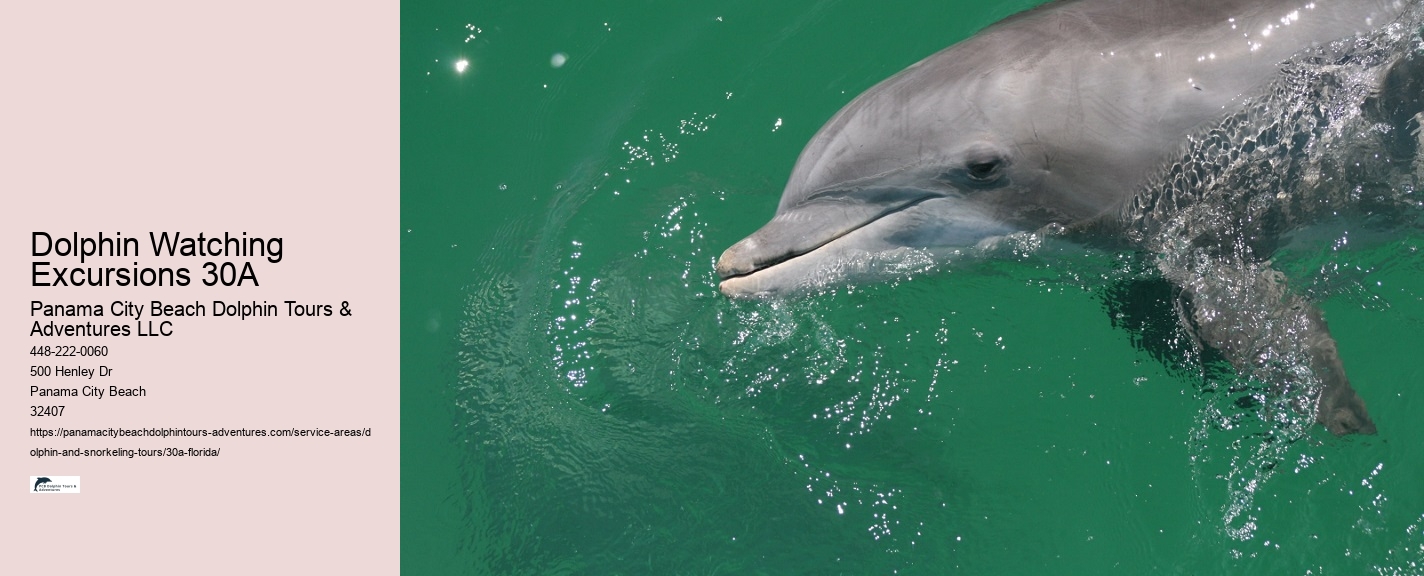 Dolphin Cruise Panama