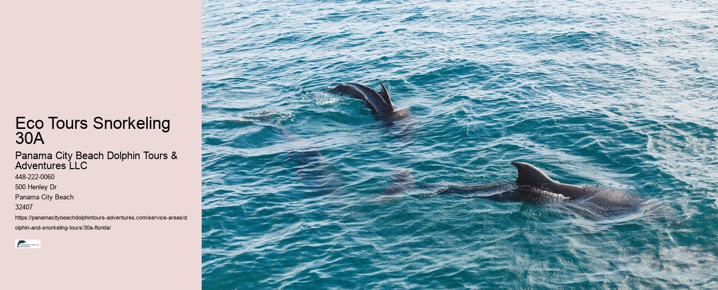 Best Snorkeling
