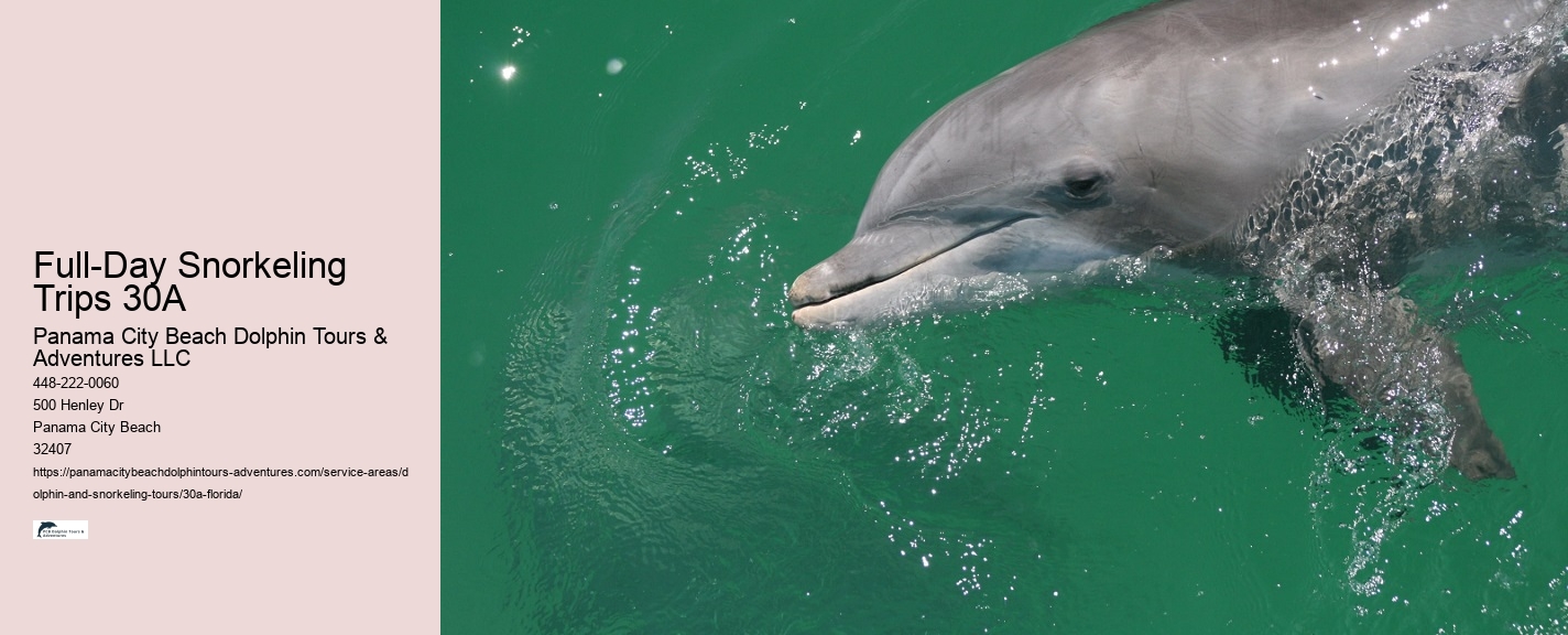 Dolphins 30a