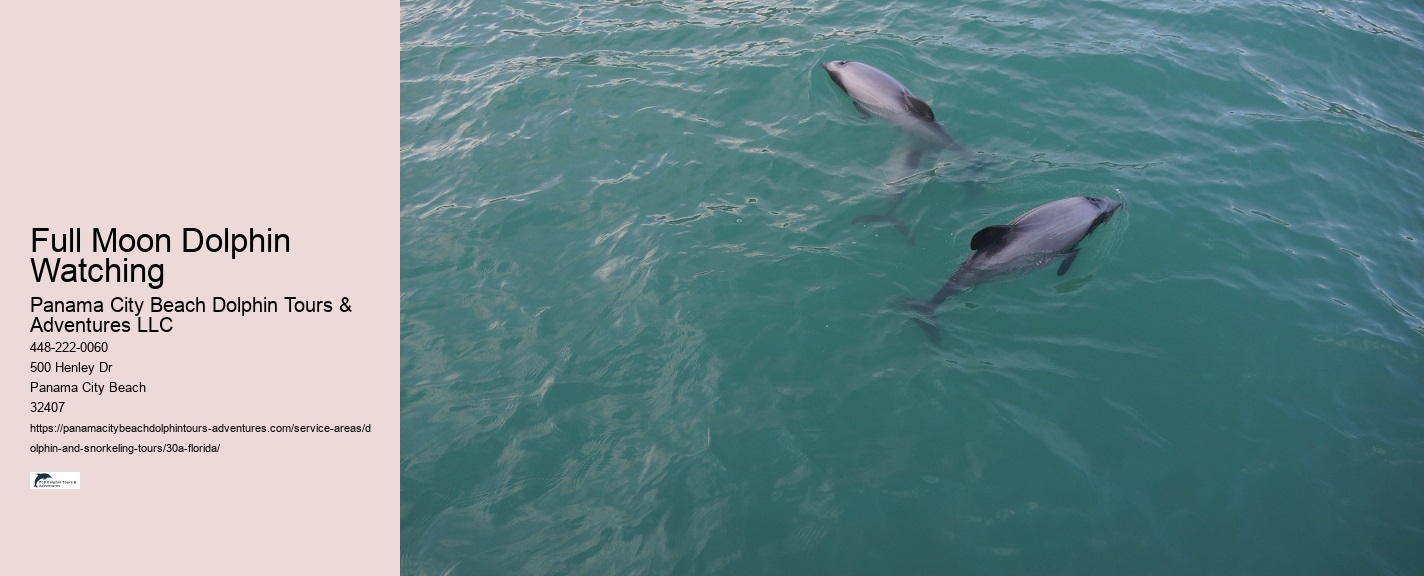 Half-Day Dolphin Tours Panama City