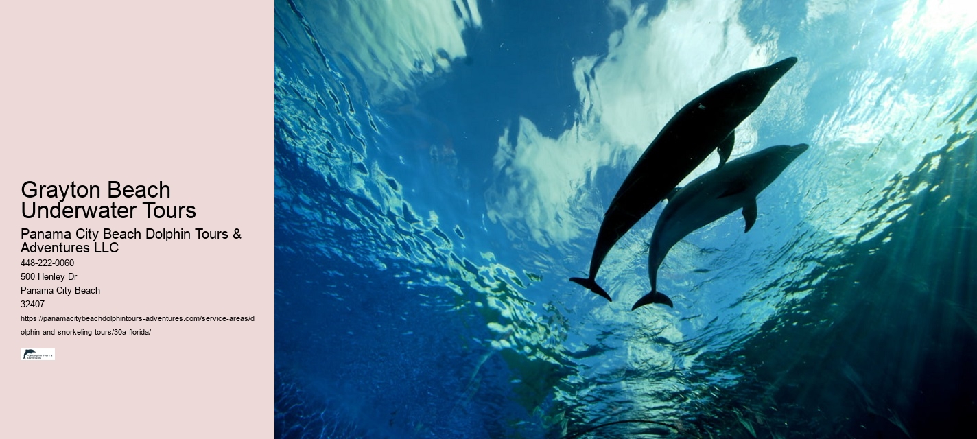 Dolphin and Snorkeling Tours 30a Florida Price
