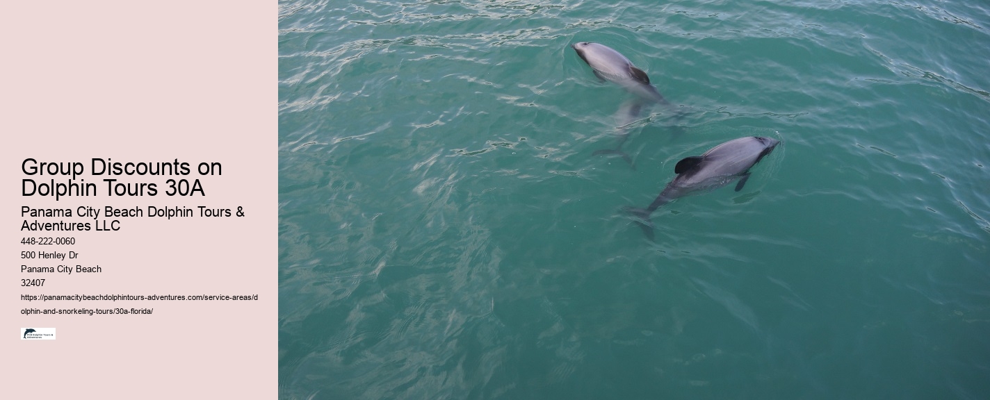 Customizable Dolphin Tours