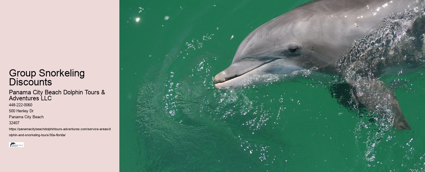 Dolphin and Snorkeling Tours In Panama City Beach