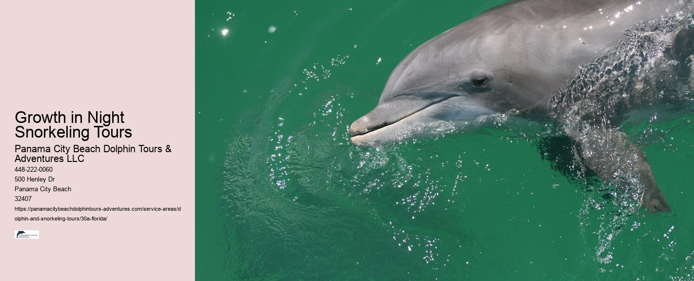 and Snorkeling Tours 30a