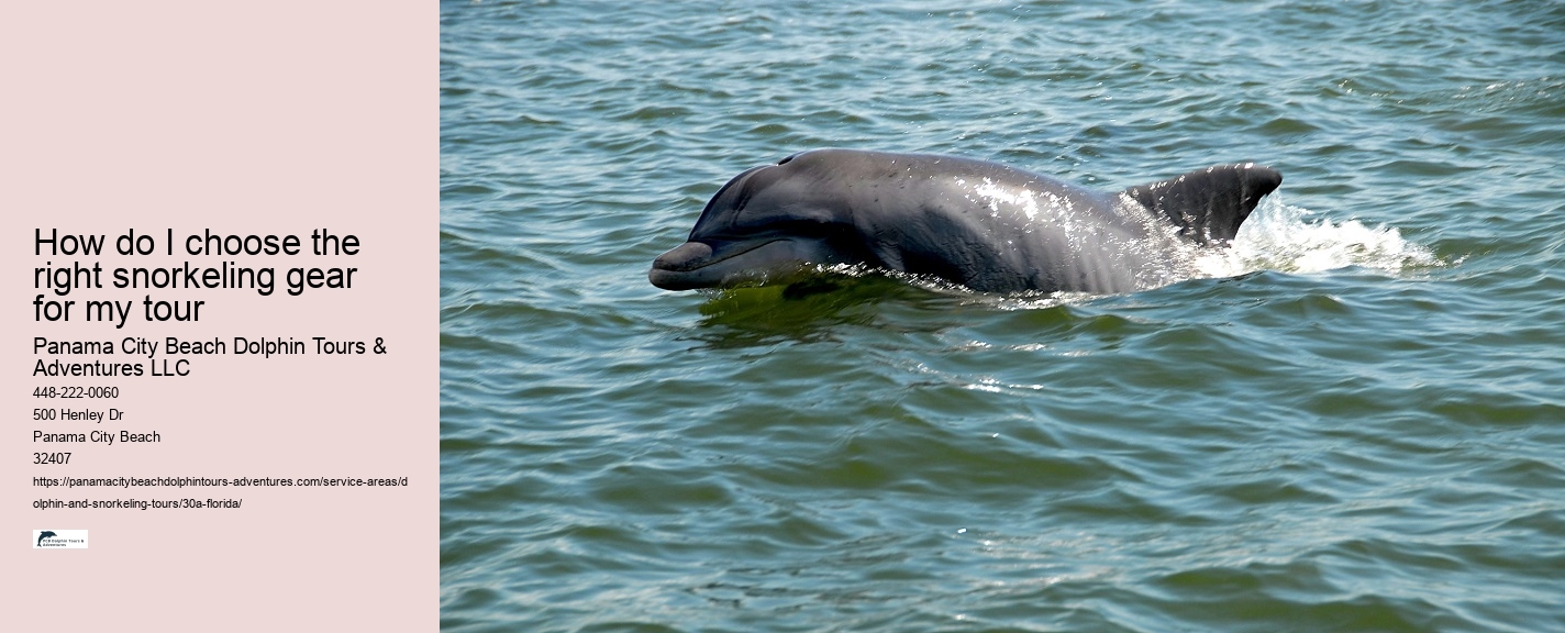 Dolphin Tour 30a