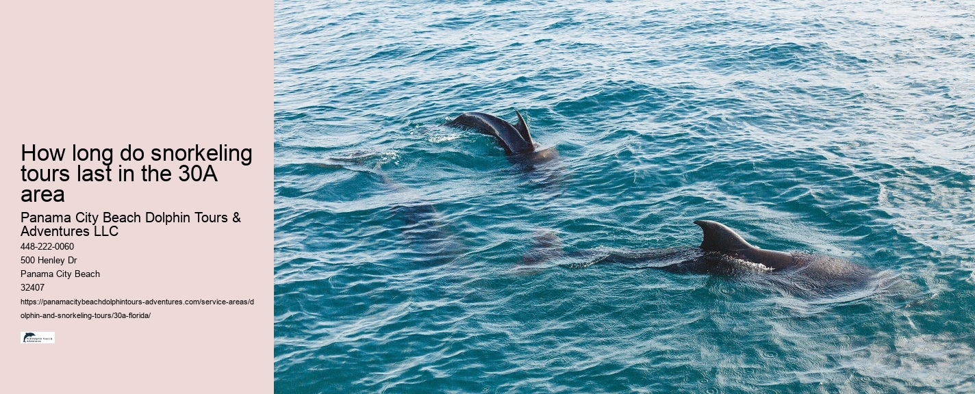 Island Cruises