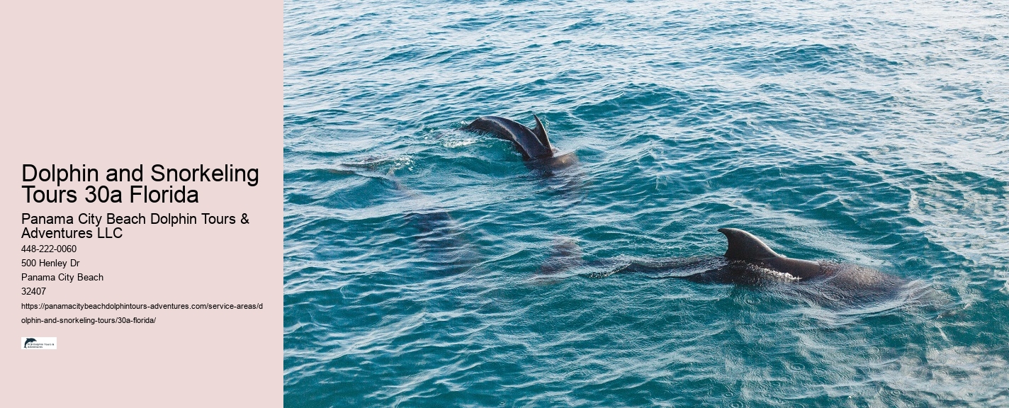 Snorkeling 30a