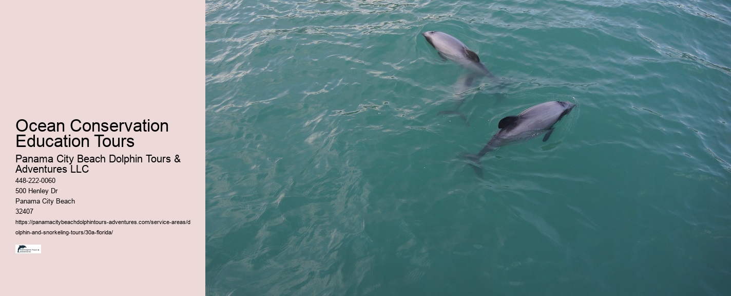 Jet Ski Dolphin Tours Near Me