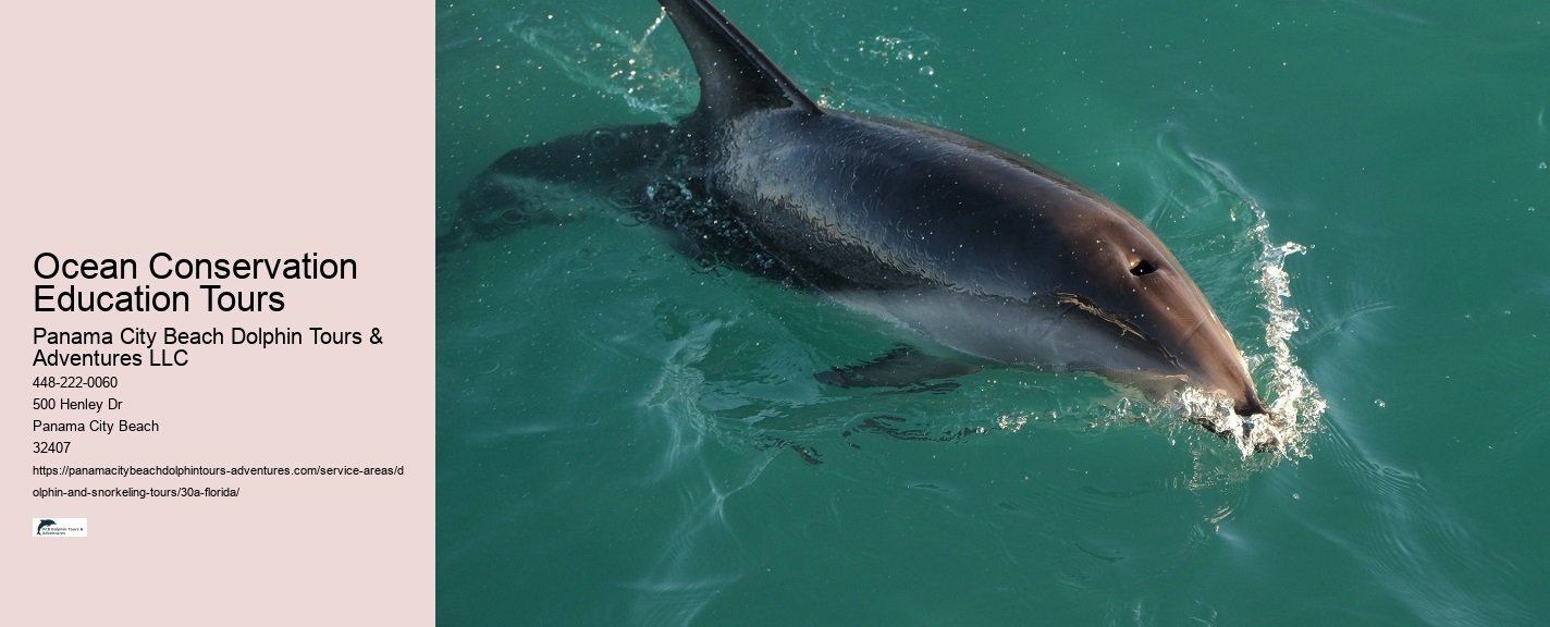 Excursions In 30a Florida