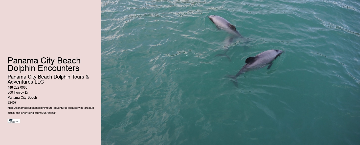 Florida Keys Swim With Dolphin Tours and Tickets