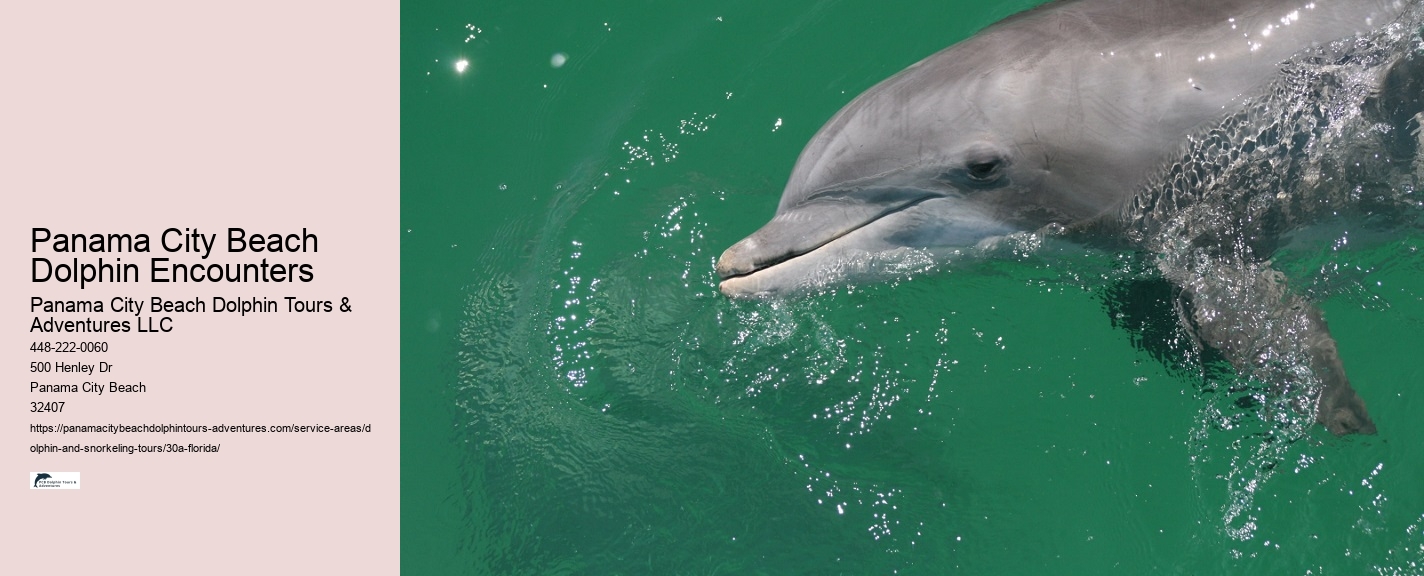 Boat Excursions 30a