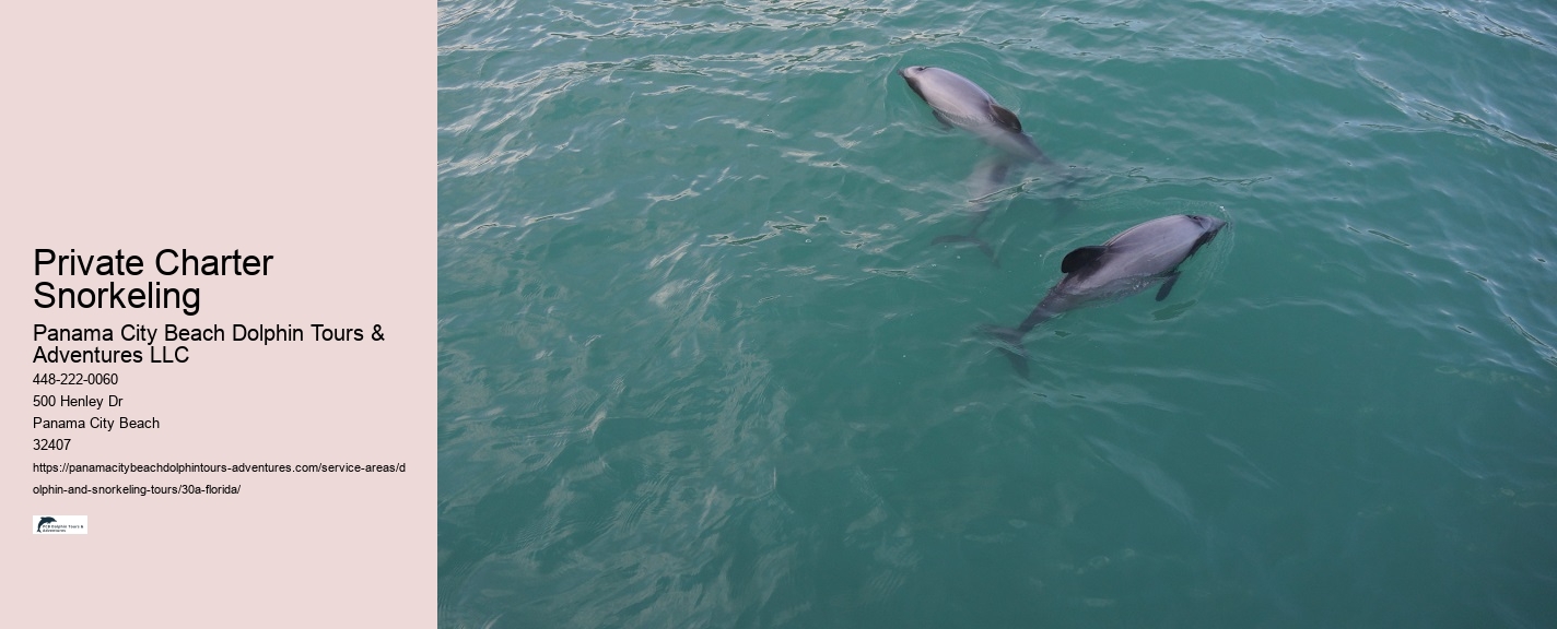 Snorkeling Tours 30a