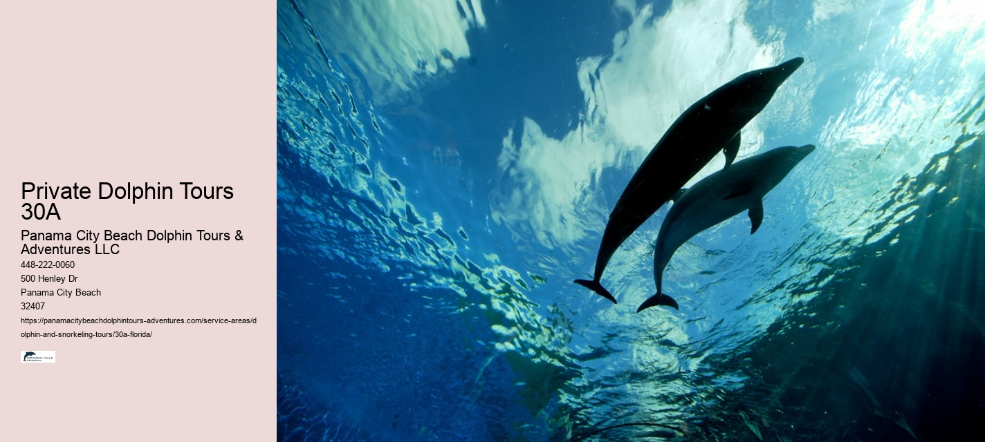 Dolphin Cruise Santa Rosa Beach