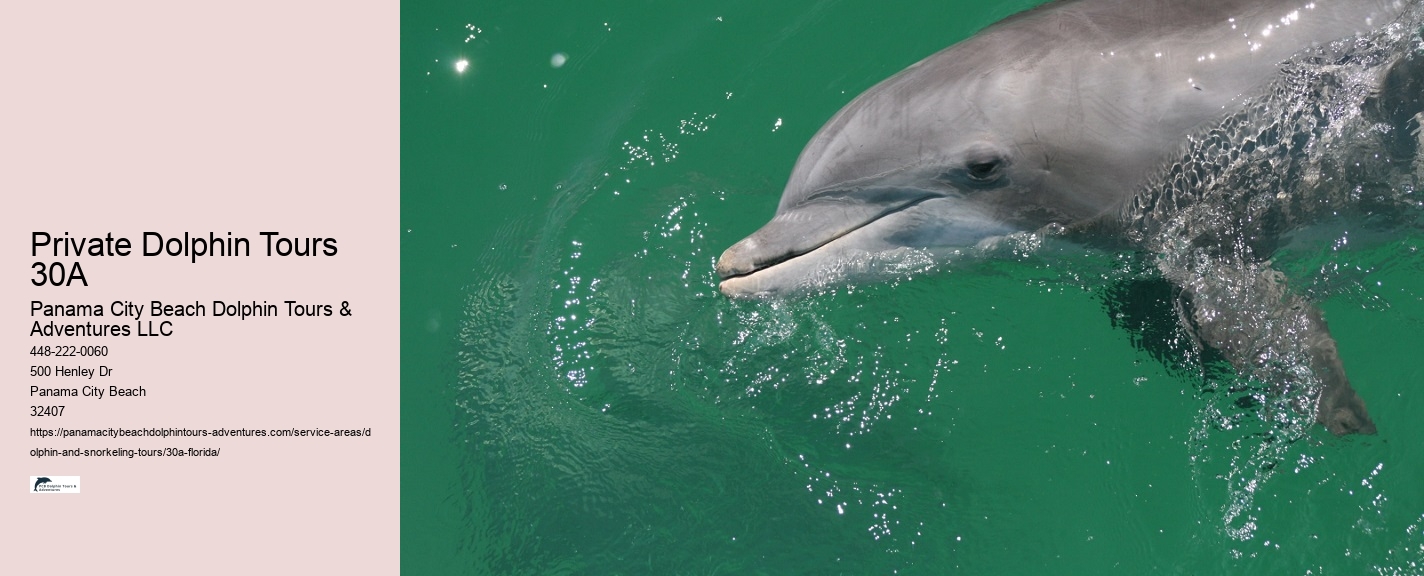 Do you tip on a dolphin tour