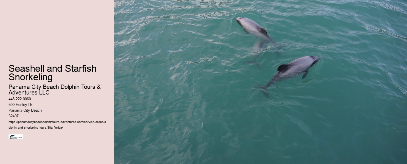 Dolphin Show Ticket Price