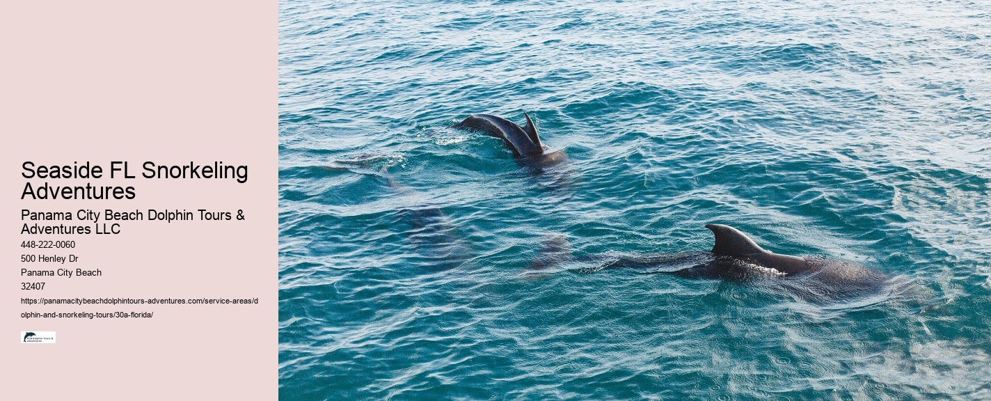 Eco Tours Snorkeling 30A