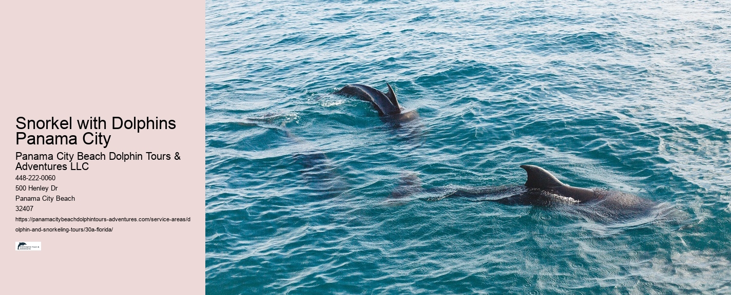 Dolphin and Snorkeling