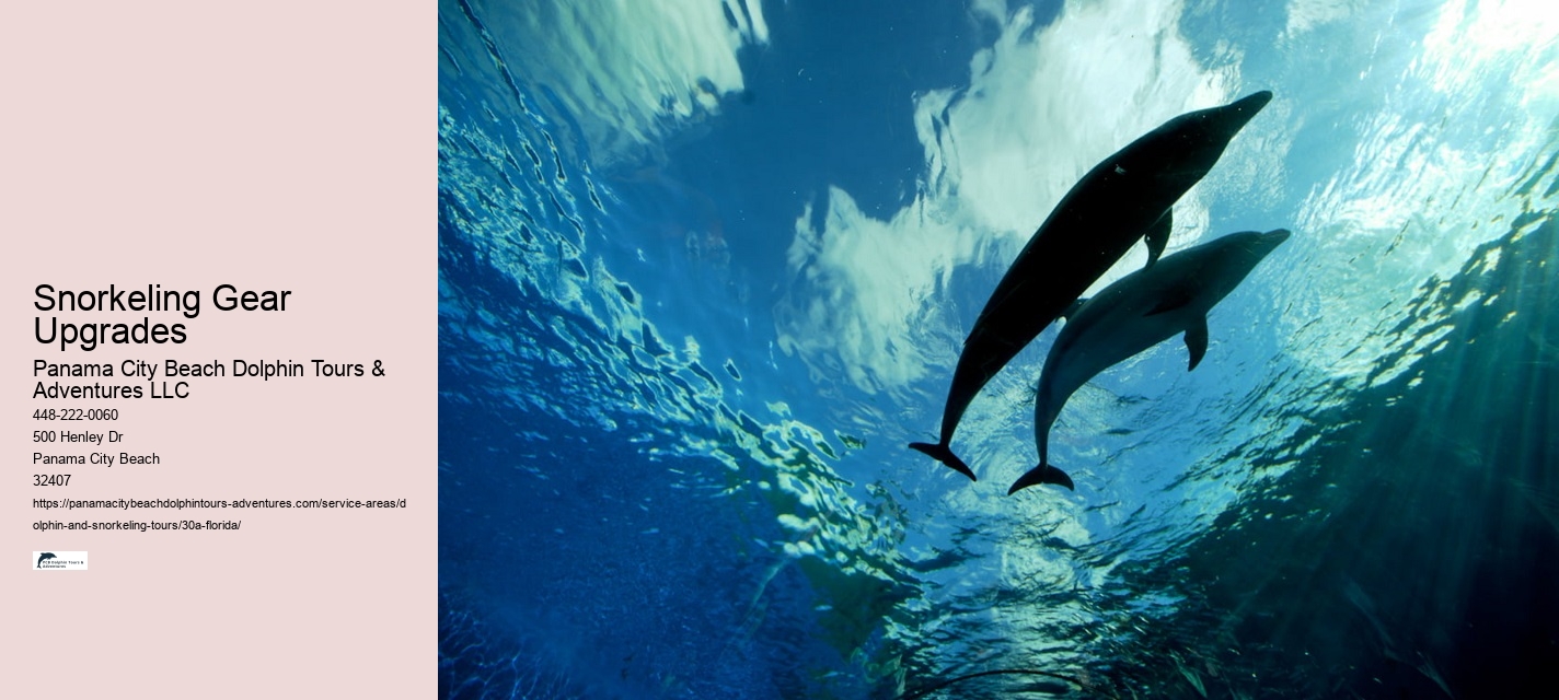What month is best for dolphin watching