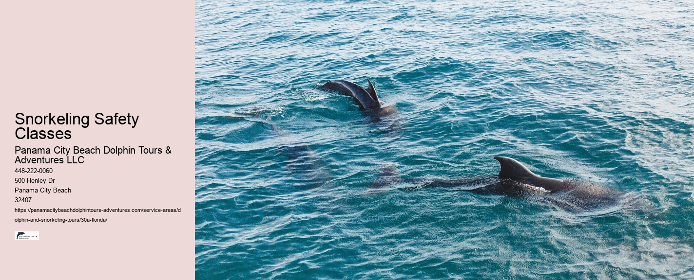 Grayton Beach Underwater Tours