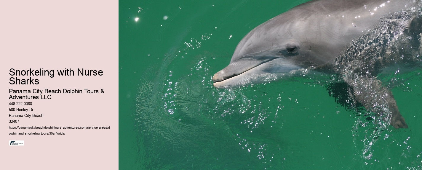 Best Snorkeling Tours