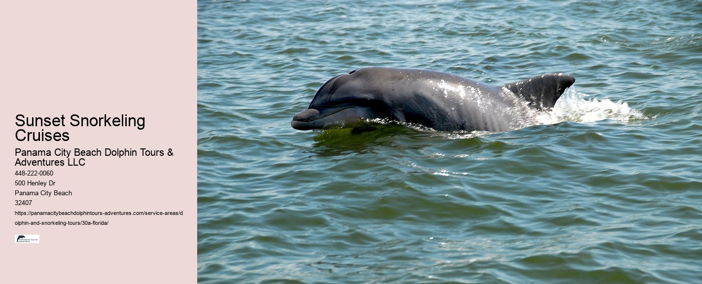 Are there any eco-friendly dolphin tours in Panama City Beach