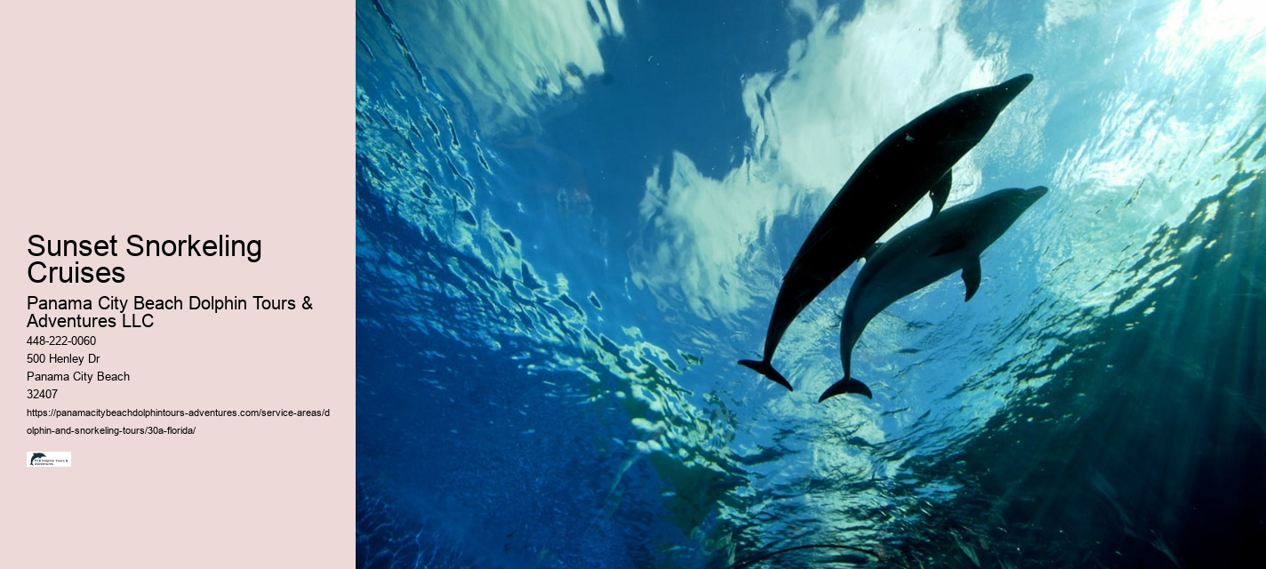 Dolphin Tours Reviews