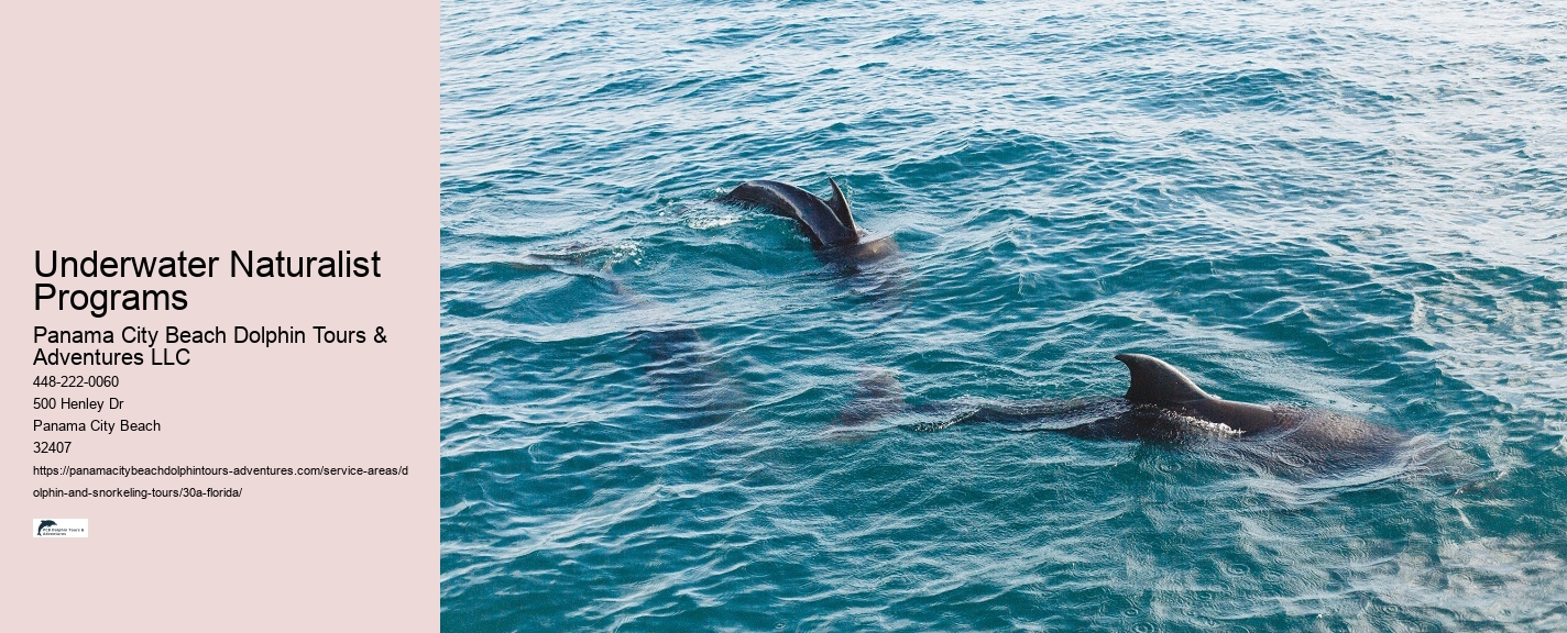 Difference Between Purpose and Dolphin