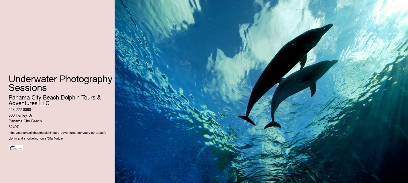 Underwater Photography Sessions