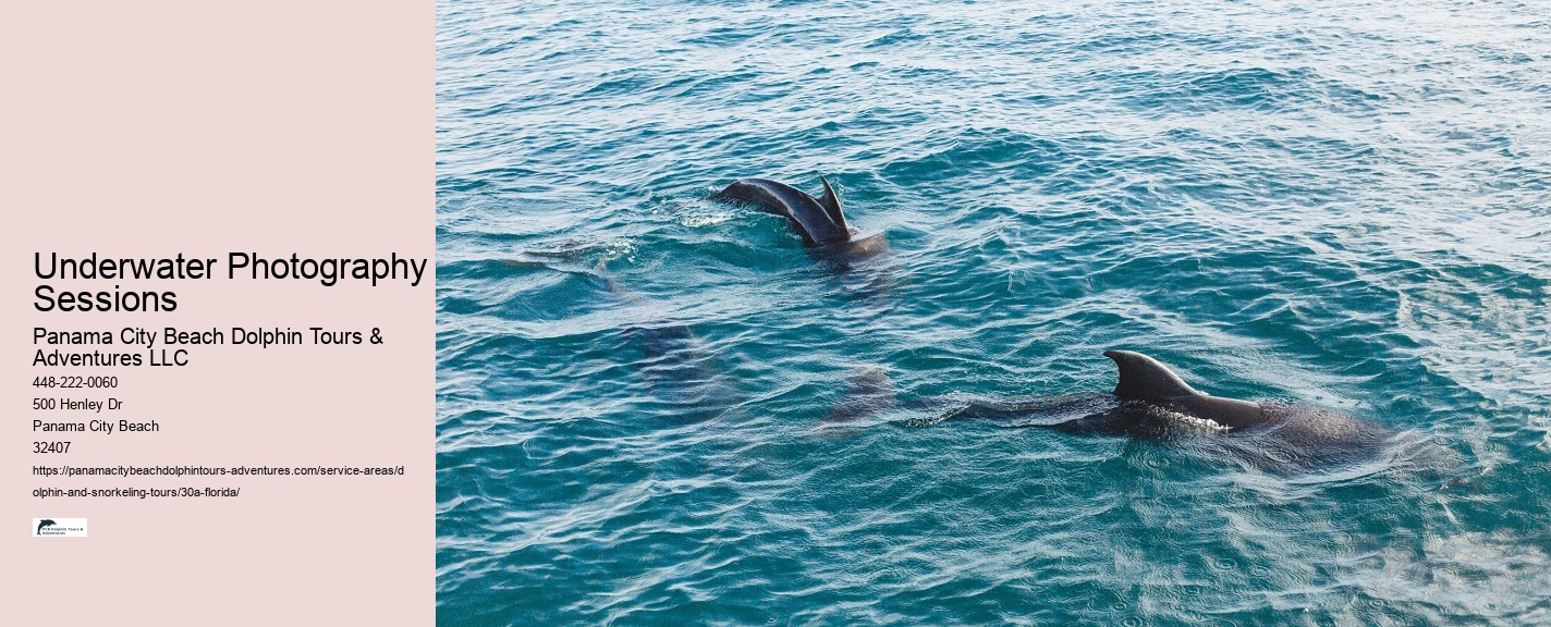 Underwater Photography Tours 30A