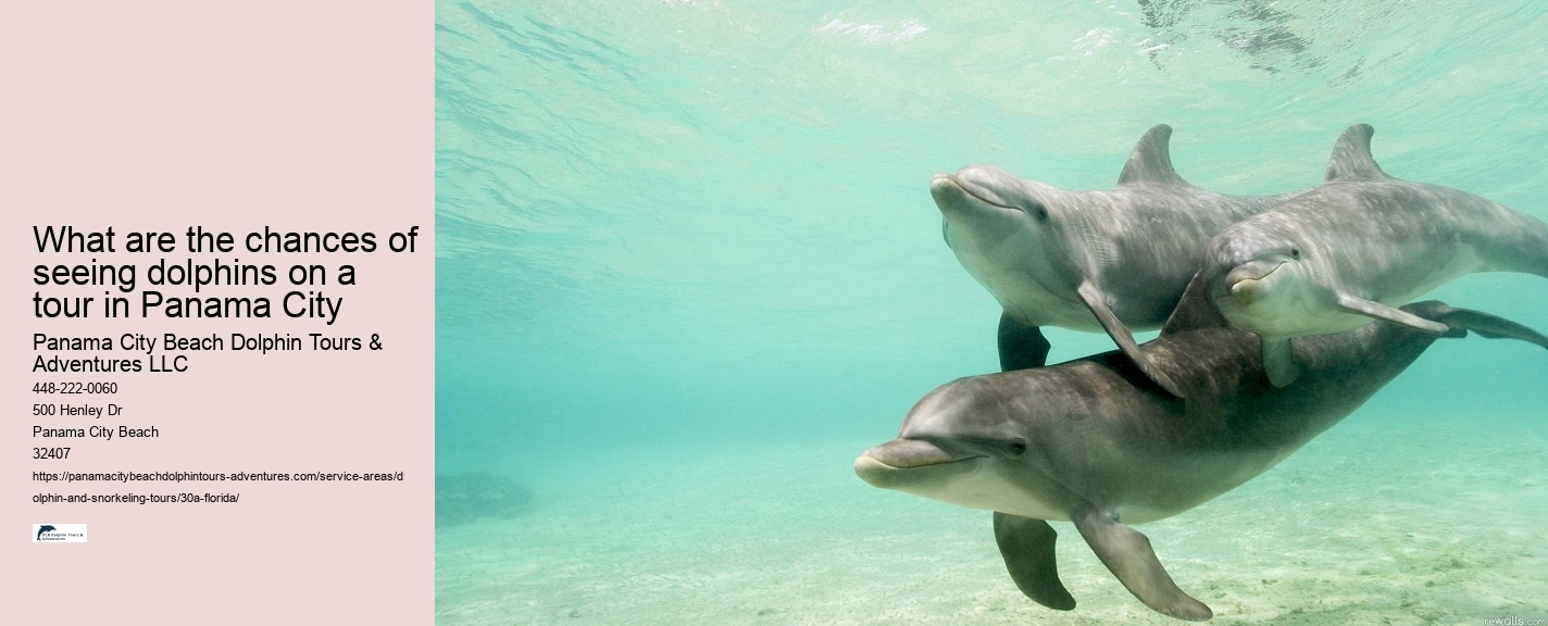 Snorkeling Tours