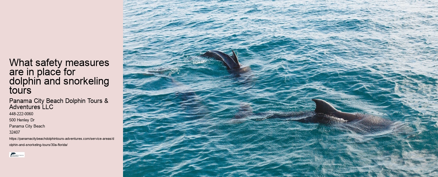 Closest Dolphin Tour Near Me