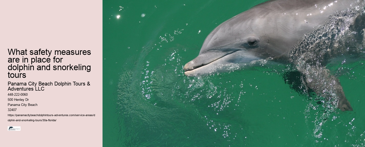 What time of year is best for dolphin watching
