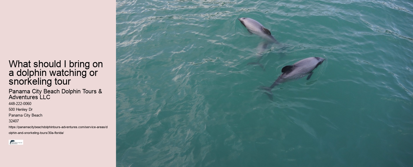 Dolphin Trainer Meaning